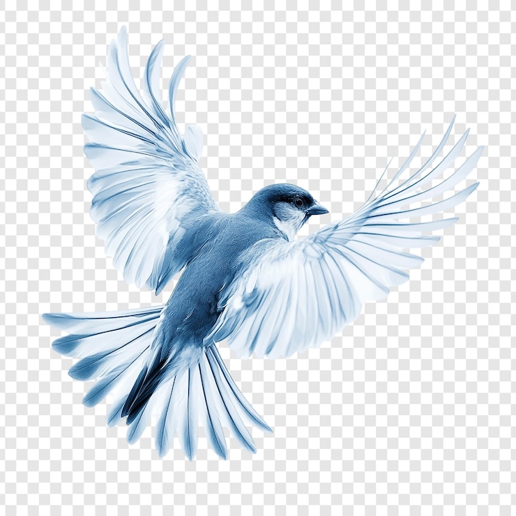 PSD l'oiseau bleu en vol