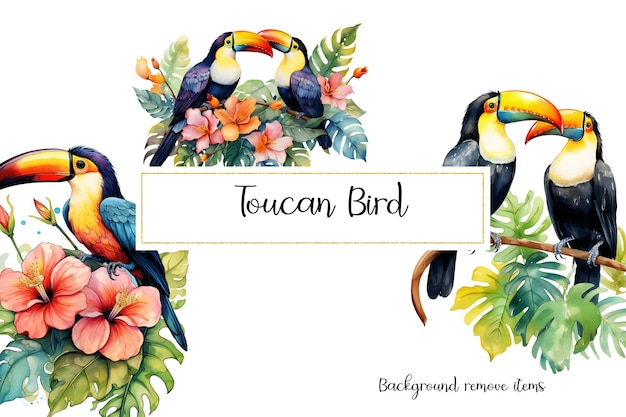 PSD l'oiseau du toucan psd clipart