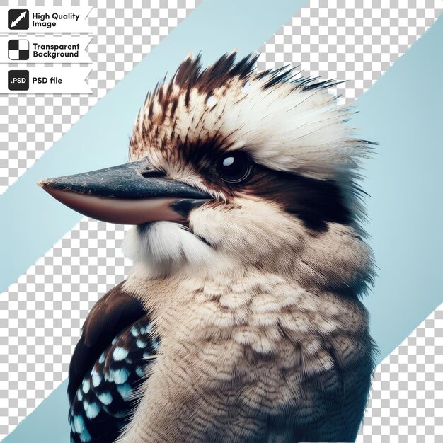 PSD oiseau de kookaburra sur fond transparent