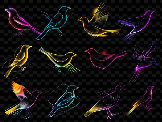 PSD oiseaux colorés sur un fond noir avec un arc-en-ciel de couleurs