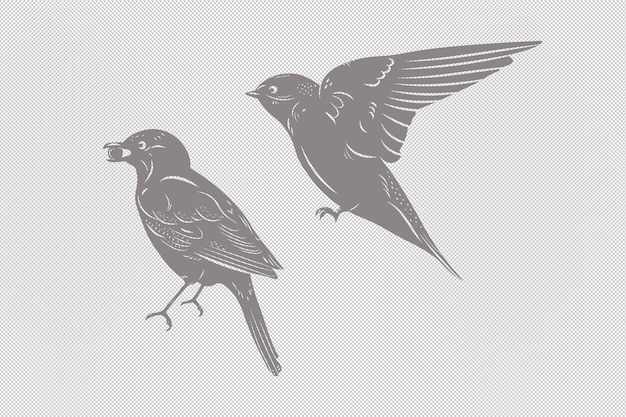Oiseaux en vol avec des illustrations de clipart isolés de baies