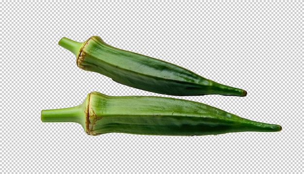 Okra auf Alpha-Ebene