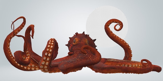 Oktopus isoliert auf transparentem Hintergrund