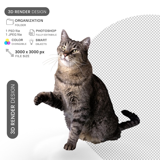 Olhando para o PSD