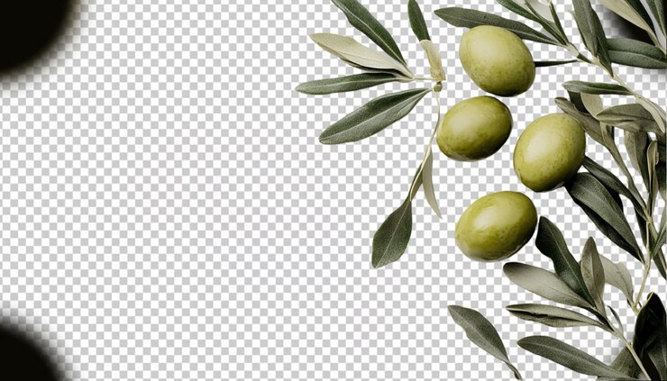 PSD oliva sobre un fondo transparente