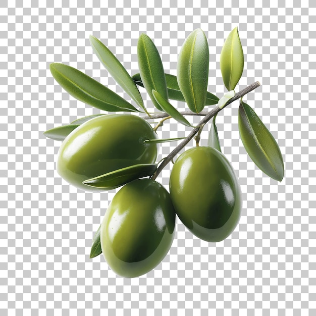 PSD olives avec feuilles d'olive isolées aliments sains et biologiques générés par l'ia png transparent