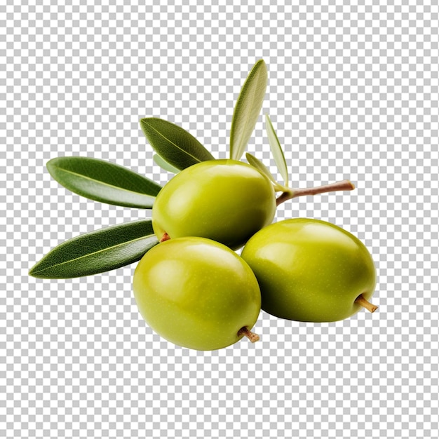 Olives isolées png