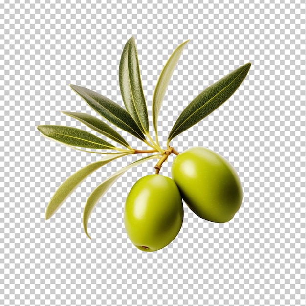 Olives isolées png