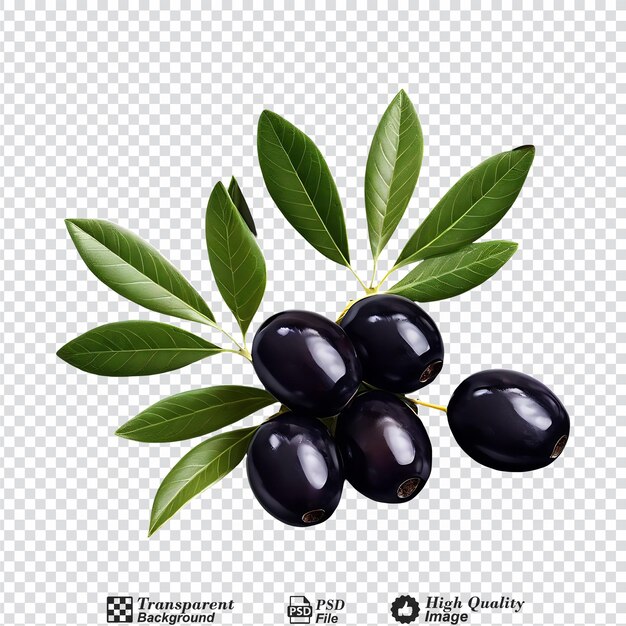 PSD olives noires avec des feuilles isolées sur un fond transparent