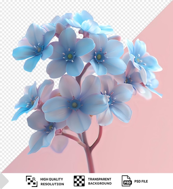 Olvidame notas flor png clipart con una variedad de flores azules y blancas incluyendo un pétalo azul y blanco dispuesto en una fila de izquierda a derecha png