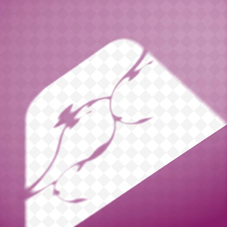 PSD ombre di conchiglia curve e bordi lisci organici con ombra png naturale impe cast illustrationsr