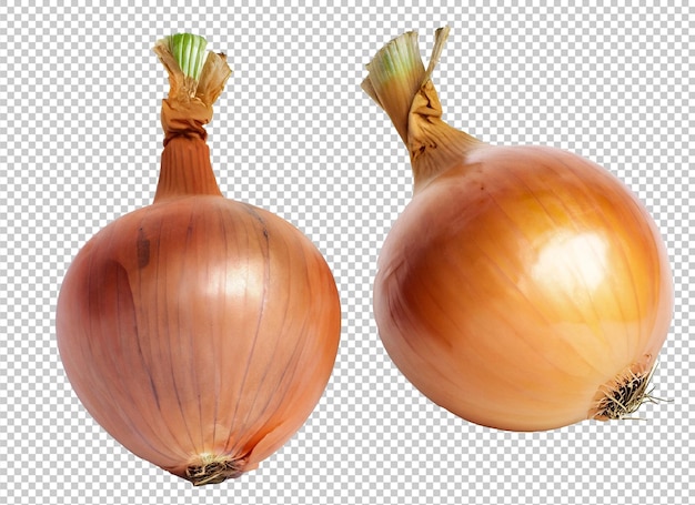 onion on alpha layer