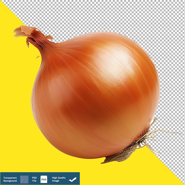 Onion real foto com fundo branco fundo transparente png psd