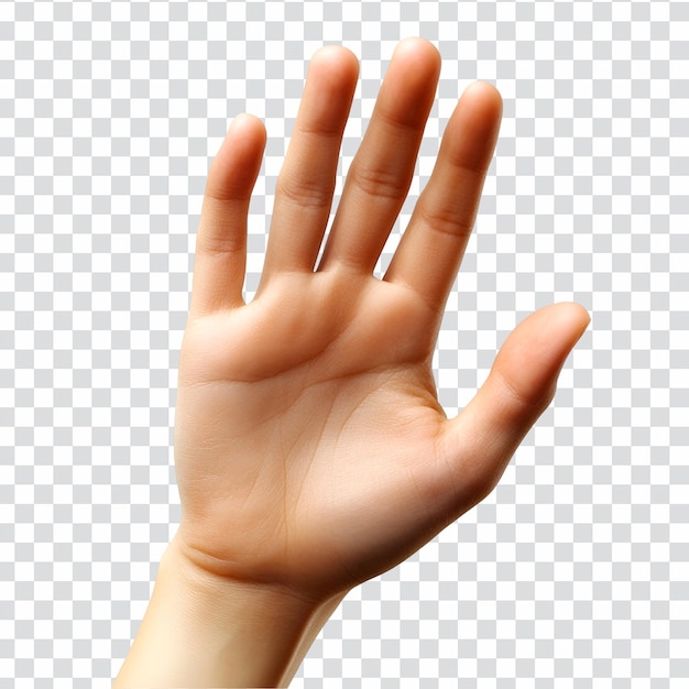 Open hand gesture isolated on transparent background