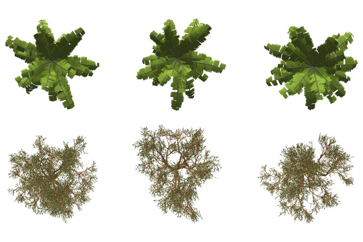 PSD opview variedad vegetal para el diseño del paisaje topview variedades vegetales para el diseño del paisaje
