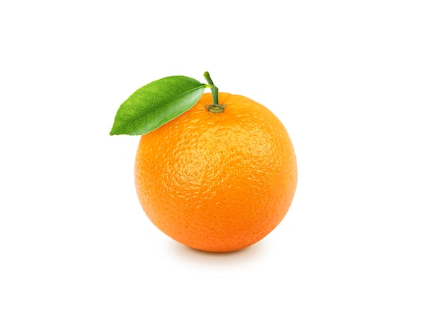 Orange Frucht mit durchsichtigen Blättern