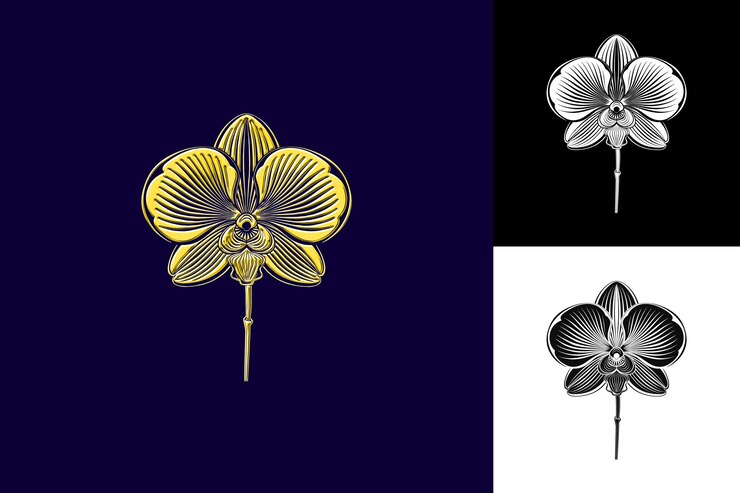 PSD orchidee con vene di piante dell'orecchio di elefante e forme di base con p creative illustration vector design