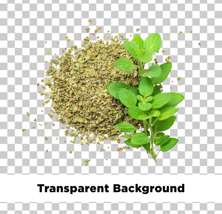 PSD oregano hierbas frescas y secas png transparente