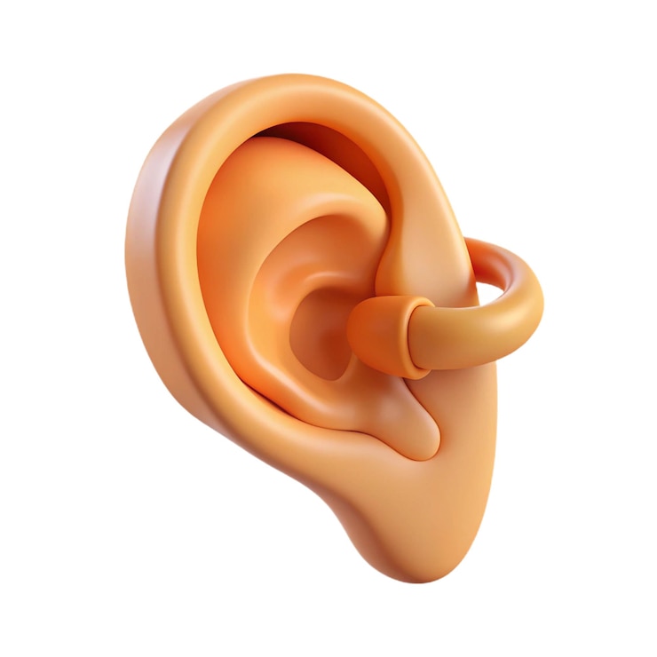 PSD une oreille avec le mot " oreille " sur elle