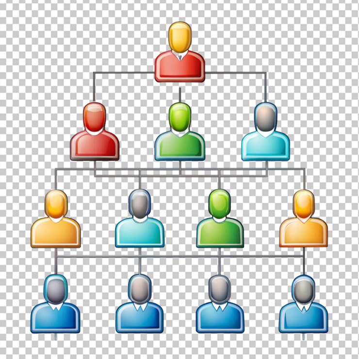 PSD organization chart on transparent background