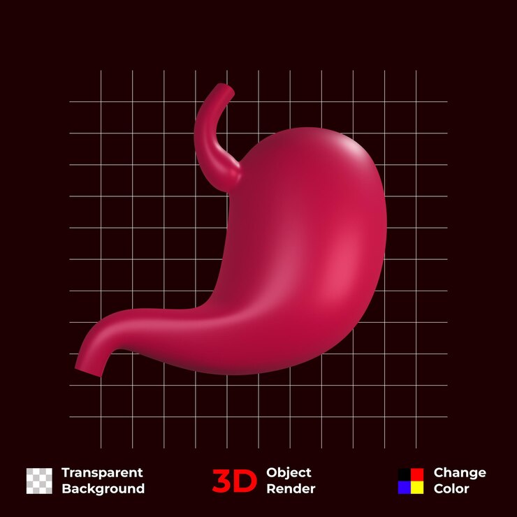 PSD órganos estomacales humanos en 3d gratuitos sobre fondo transparente y cambio de colores psd premium