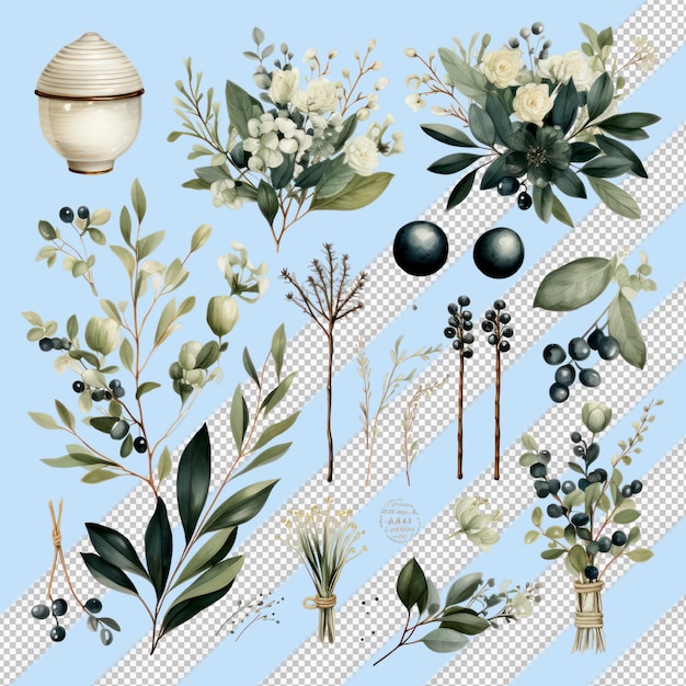 PSD ornements de mariage à l'aquarelle scandinaves avec des feuilles et des fleurs blanches sur un fond transparent