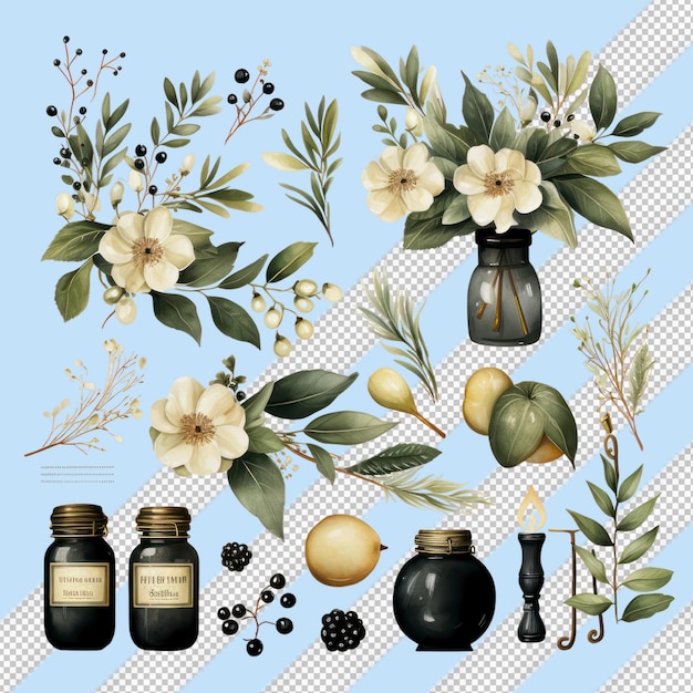 PSD ornements de mariage à l'aquarelle scandinaves avec des feuilles et des fleurs blanches sur un fond transparent