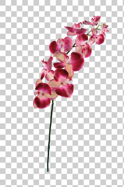 Orquídea rosa artificial