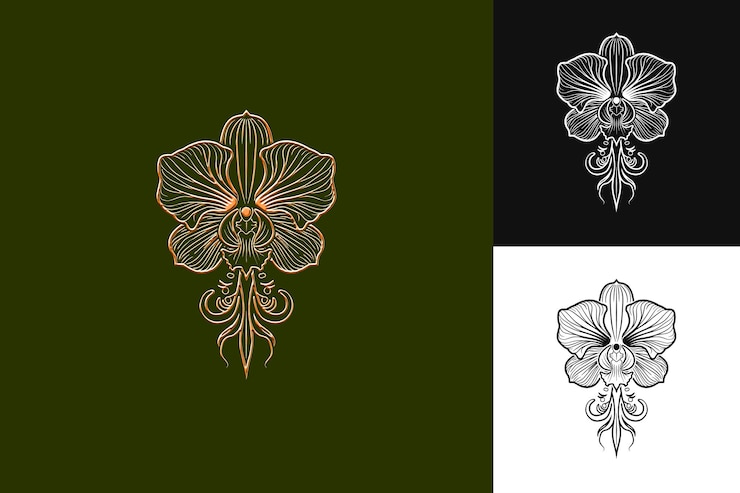PSD orquídea con venas de plantas de orejas de elefante y formas básicas con p diseño vectorial de ilustraciones creativas