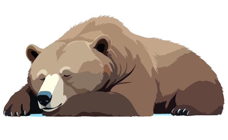 PSD orso adorabile animale carino che dorme illustrazione rilassante arte vettoriale grafica