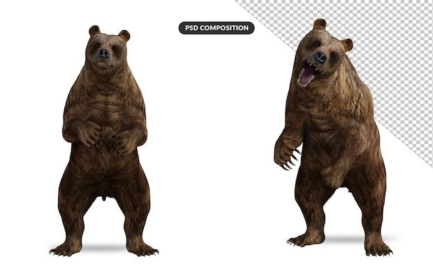 Orso in posa carino rendering 3d