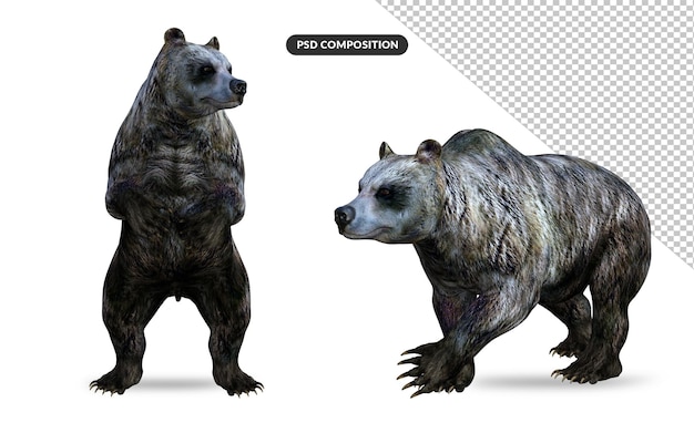 Orso in posa carino rendering 3d