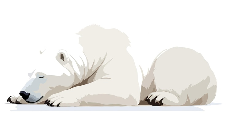 PSD orso polare adorabile animale carino dormente rilassante illustrazione arte vettoriale grafica