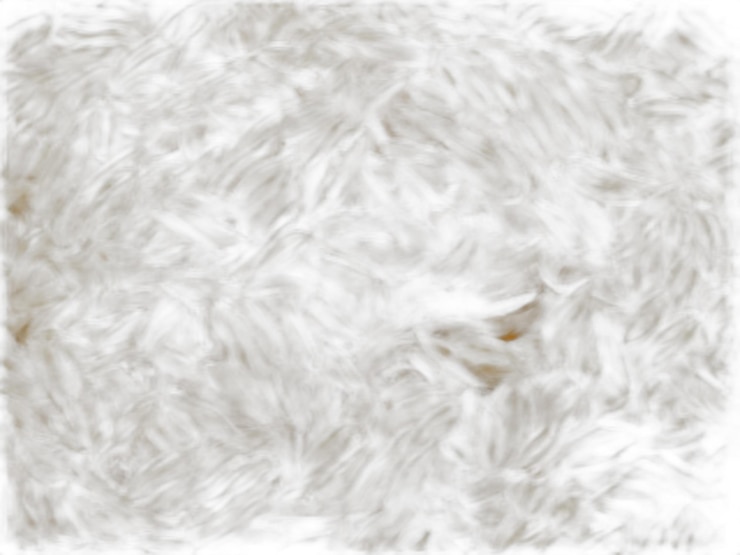 PSD orzo pasta psd em fundo branco
