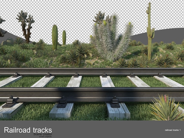 Os trilhos da ferrovia ao longo da estrada estavam cheios de flores e arbustos