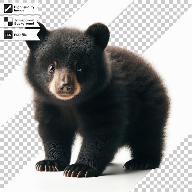 PSD oso marrón psd aislado sobre un fondo transparente