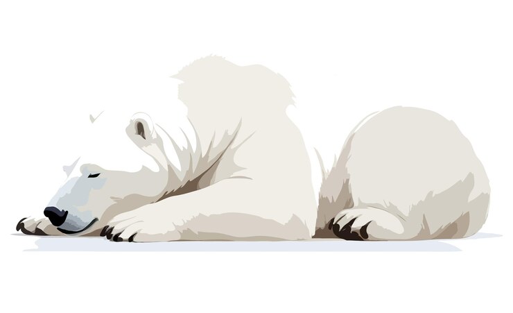 PSD osos polares adorables animales lindos durmiendo ilustraciones relajantes arte vectorial gráfico