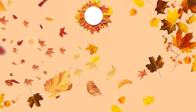 otoño un fondo marrón con un fondo marró