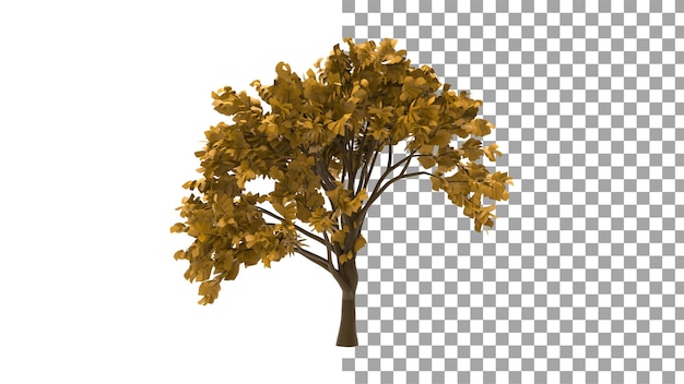Otoño de roble sin sombra 3D Render