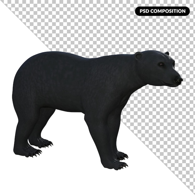 PSD un ours noir se tient devant le rendu 3d isolé