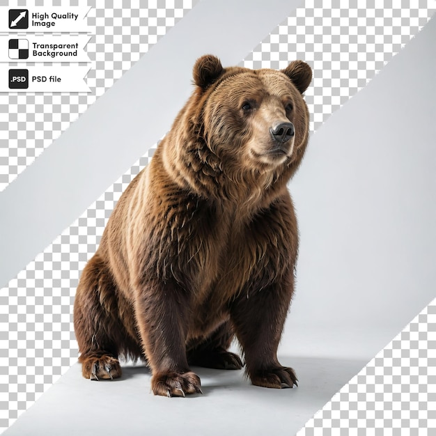 PSD un ours qui est devant une photo d'un ours