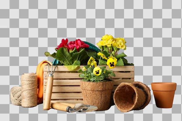 Outils de jardinage fleurs et pots bien organisés prêts à être plantés dans un espace isolé sur PNG blanc