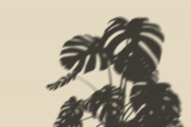 Overlay shadow botanical