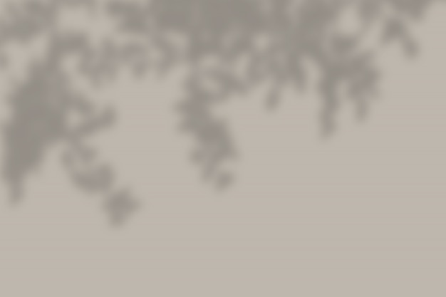 Overlay Shadow Botanical