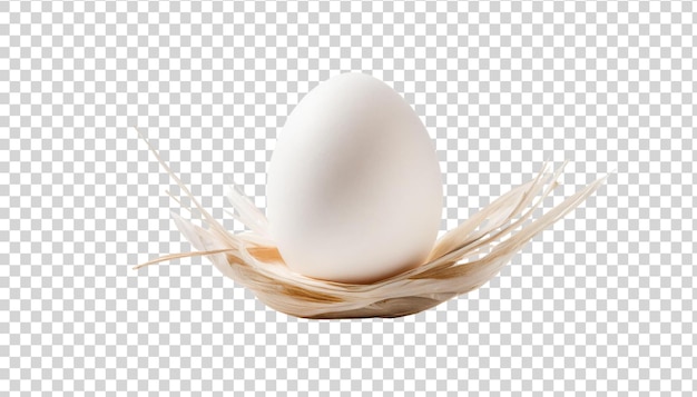 PSD ovo de galinha branco em um ninho isolado em fundo transparente