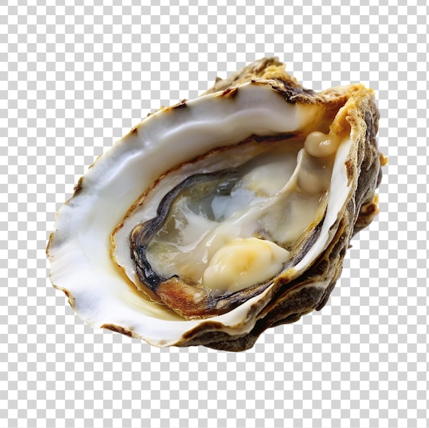 PSD oystère ouvert isolé sur un fond transparent