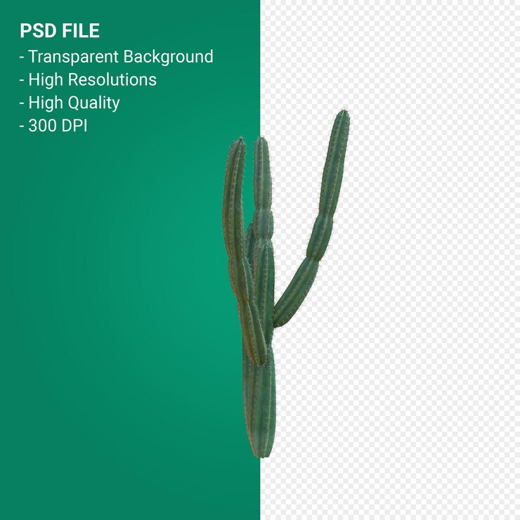 PSD pachycereus schottii 3d render aislado