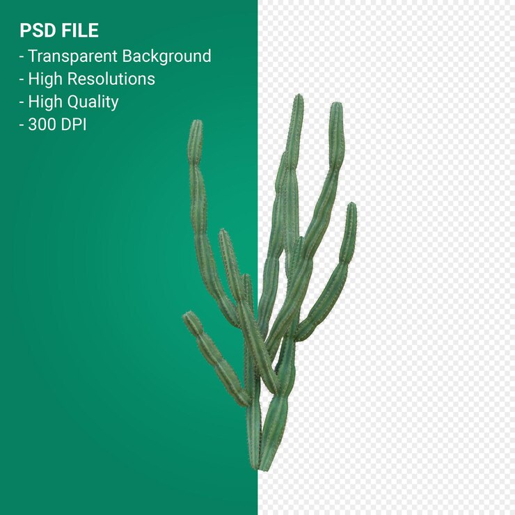 PSD pachycereus schottii 3d render aislado