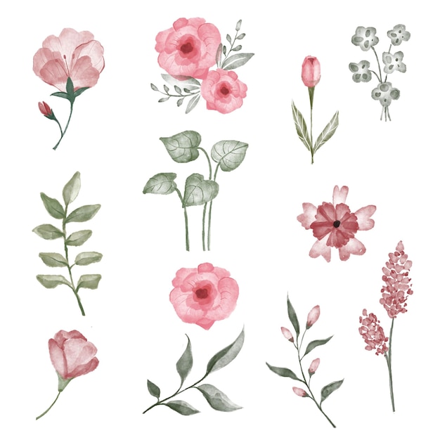 PSD pack de fleurs aquarelles