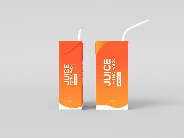 Pack de jus Tetra avec maquette de paille